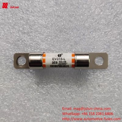 EV-opladeradapter veiligheidsluiting compatibel met 10A-60A opladen Elektrisch voertuig snel opladen
