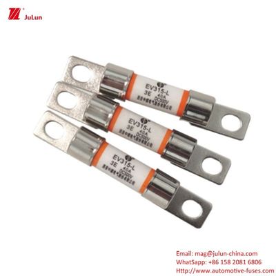 DC500V elektrische voertuig EV-sluitersbescherming voor elektrische voertuigen modellen EV315-L 3E 10A-60A