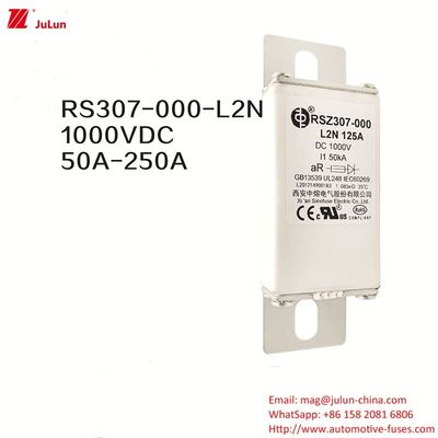 100A Bolt On Ev Dc Fast Charger / Elektrisch Voertuig Fast Charging RSZ307-000-L2N Fuse