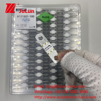 EV Automotive Battery Protection Fuse voor kortsluitbescherming ASTM A121601 100A 150A