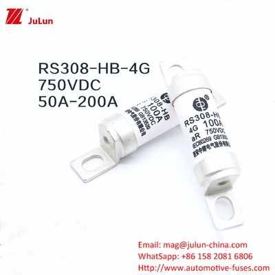 Ev Charger Adapter RS308-HB4G Series 32A 63A 100A Mini Fuses Voor Auto