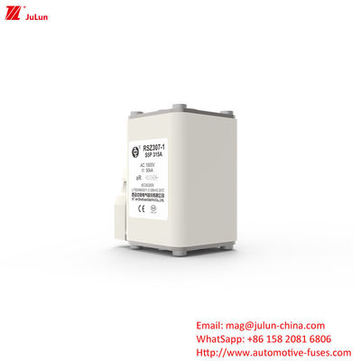 Bescherming van het elektriciteitssysteem 160A-550A AC EV-opladeradapter Compatibel Bolt On Fuses