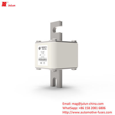 315A DC250V draagbare EV-oplader veiligheidsluiting Ultieme oplossing voor EV-eigenaren