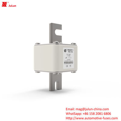 315A DC250V draagbare EV-oplader veiligheidsluiting Ultieme oplossing voor EV-eigenaren