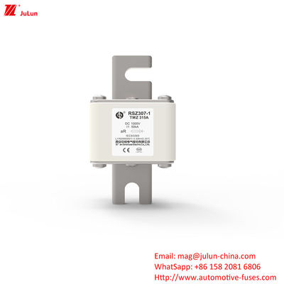 RSZ307 200A-450A DC250V elektrische voertuigbeschermer