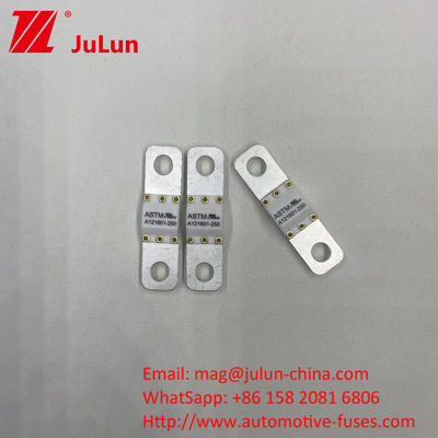 A121601-80A A121601-150A Auto blade fuses / blade auto fuses voor batterij energieopslag stabiliteit onderhoud