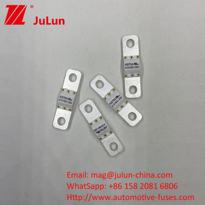 125 VDC Automotive Battery Charger Fuse A121601-300A Battery Energy Storage Motorfiets