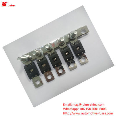 250A Automotive Fuse met Plastic Shell 35-60VDC EU UL Certified