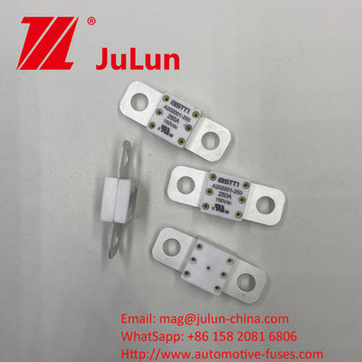 Automobiel energieopslag A202001 150A 150VDC Power Conversion Application Ceramic Automotive Fuses Gerangschikt bij 150VDC 16-20KA 400A 500A