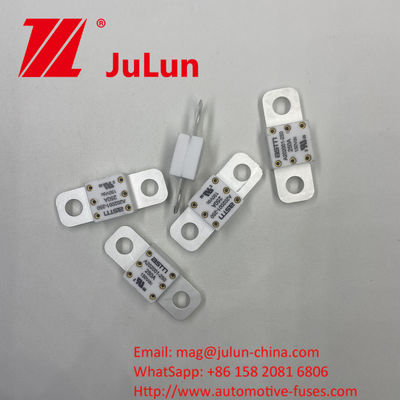 150VDC 200A A202001 Automobile Energy Storage Ceramic Automotive Fuses De perfecte combinatie van duurzaamheid en efficiëntie