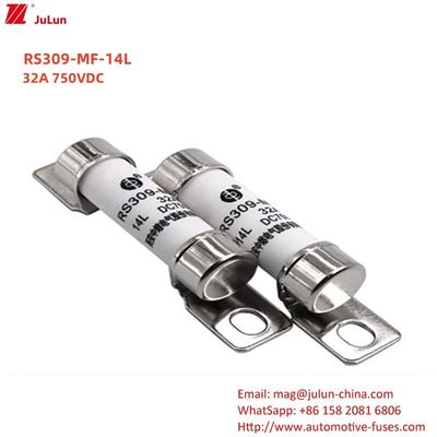 RS309 750VDC 32A 40A Stroom Autobatterilader met en energie Elektrovoertuig Fuse 750VDC Terminal Type
