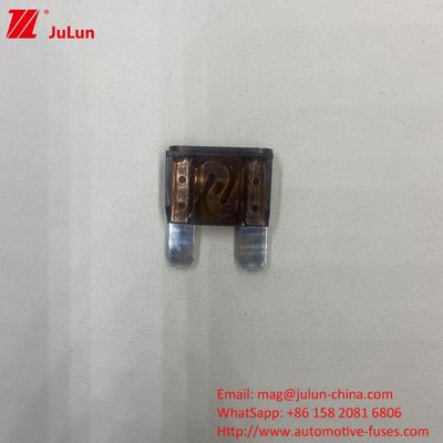 Automobiele geldautomaat Auto Blade Fuses 30A 32V