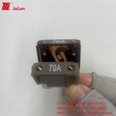 Automobiele geldautomaat Auto Blade Fuses 30A 32V