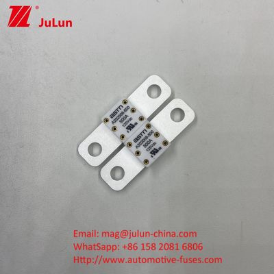ASTM A202008 Keramische automotive fusie 300A 125VDC 20KA Breekcapaciteit