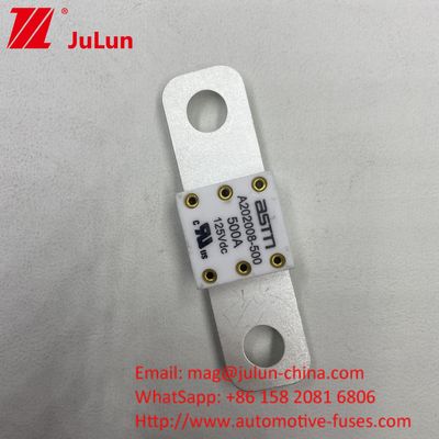 500A 125VDC High Current Rating Car Battery Fuse voor universele compatibiliteit