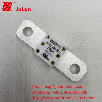 125VDC 200A ANM AMM AEGA ANL CNN CNL Autobatterij lont voor automobiel