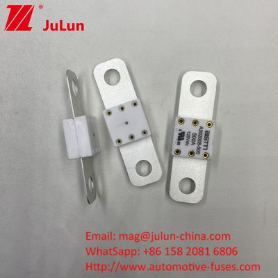 Professionele A202008 300A 125VDC zware autobatterijoplader Fuse 100A 150A 200A 250A 300A 350A 400A 500A 20KA Breekcapaciteit