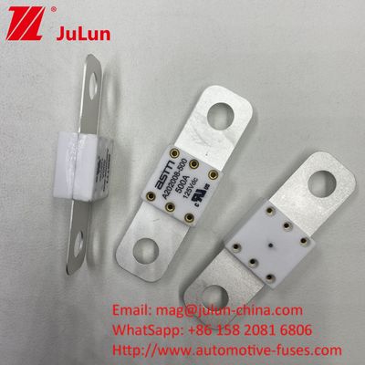 Professionele A202008 300A 125VDC zware autobatterijoplader Fuse 100A 150A 200A 250A 300A 350A 400A 500A 20KA Breekcapaciteit