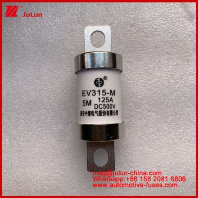 EV315-M 5M 125A HS 500VDC vrachtwagen zware buisvormige elektrische voertuig fusie constante koper met gebruik categorie EV