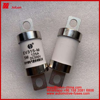 EV315-M 5M 125A HS 500VDC vrachtwagen zware buisvormige elektrische voertuig fusie constante koper met gebruik categorie EV