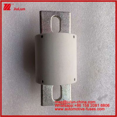 500VDC 200KA 500VAC 50KA AR Tubulaire keramische snelle lont RS309-MD 500A voor elektrische voertuigen en batterijsystemen