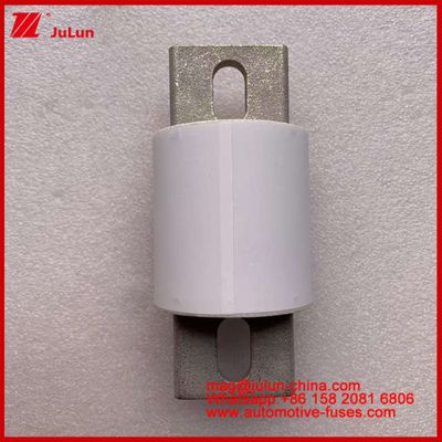 Kracht aandrijving Krachtsystemen Keramische auto fusie RS309-MD 600A 500VAC 200KA 500VDC 50KA AR buisvormige elektrische voertuigen 30-800A