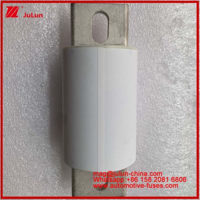 RS309-MF S 600A 750VDC Road Tubular Ceramic Automotive Devices And Equipment 50KA Energy Storage And Power Systems Frequency Conversion Controllers FUSE Chargers Elektrische voertuig