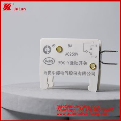 WDK-Y 5A 250V Micro Switch Automobile Mount Fuse Voor EV / HEV Voertuig Speciaal Ontworpen Fuse Base Voor Voertuig Situatie