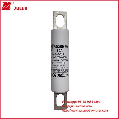 RS309-MF 60A DC750C Zware Vrachtwagens Oplaadpaal Elektrische Auto's Elektrische Bussen Elektrische Lichte Vrachtwagens En Elektrische Zekering