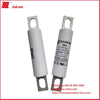 RS309-MF 60A DC750C Zware Vrachtwagens Oplaadpaal Elektrische Auto's Elektrische Bussen Elektrische Lichte Vrachtwagens En Elektrische Zekering