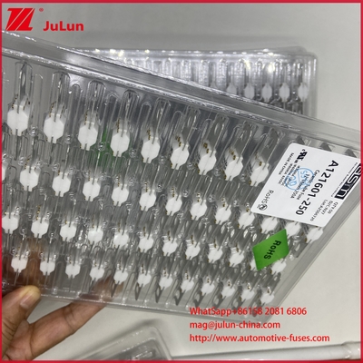 ASTM A121601-250A 125VDC EV Bolt FUSE batterij