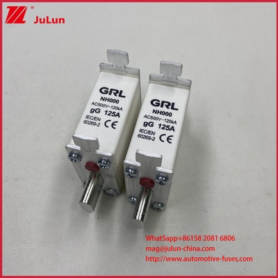 225A 160A 125A NT000/NH000 125A Zekering/houder Bladzekering Keramische Porseleinen Zekeringvoet