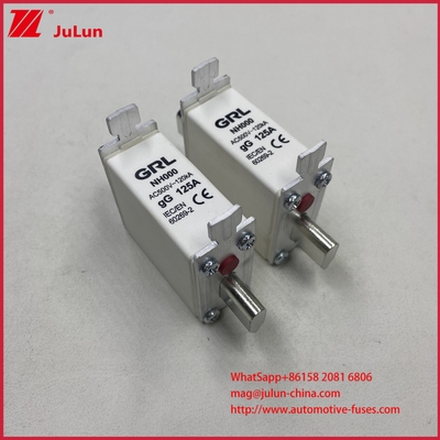 225A 160A 125A NT000/NH000 125A Zekering/houder Bladzekering Keramische Porseleinen Zekeringvoet