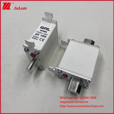 225A 160A 125A NT000/NH000 125A Zekering/houder Bladzekering Keramische Porseleinen Zekeringvoet
