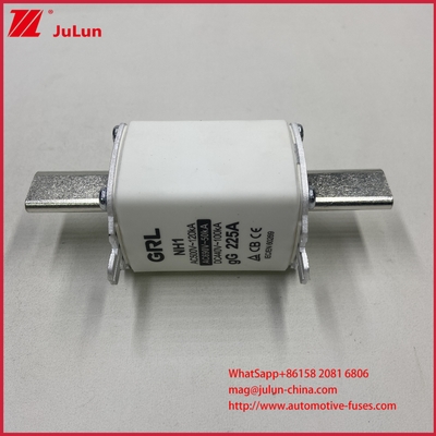 NH000 NT000 300A 225A 500V 120kA Hoogvermogen Zekering Zekeringelement met GG-gL Mescontact