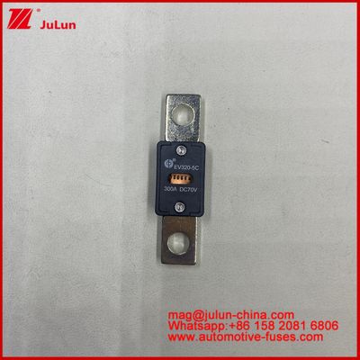 EV320 5X 5C plate-type bolt connection Transparent window fuse 80A 100A 125A 150A 450A 70VDC Current Auto-Blade Fuses 200A 58VDC Automotive Fuse Bolt On Screw Type ANS Bolt Down Fuses
