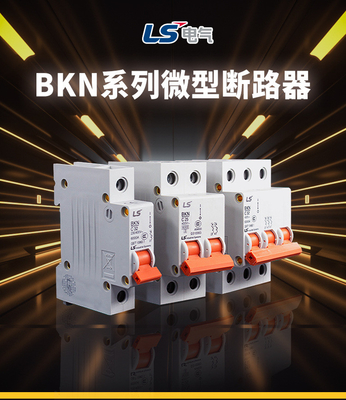 De Gebroken Stroomonderbreker van BKN Micro, de Elektrische Kleine Stroomonderbreker van LG/LS