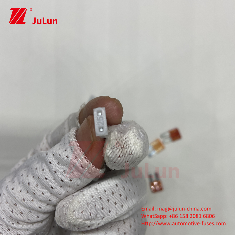 Blade Fuse FS-014 MASUMA JP Elektriciteit Elektriciteitssystemen Auto Fuses Autoonderdelen