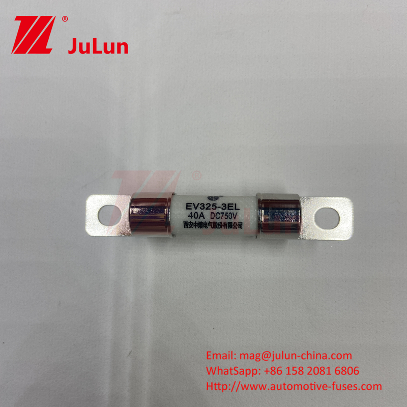 Bescherming EV Elektrovoertuig Fuse Power Conversion 15A 30A 25A 750VDC 10x38 EV FUSE