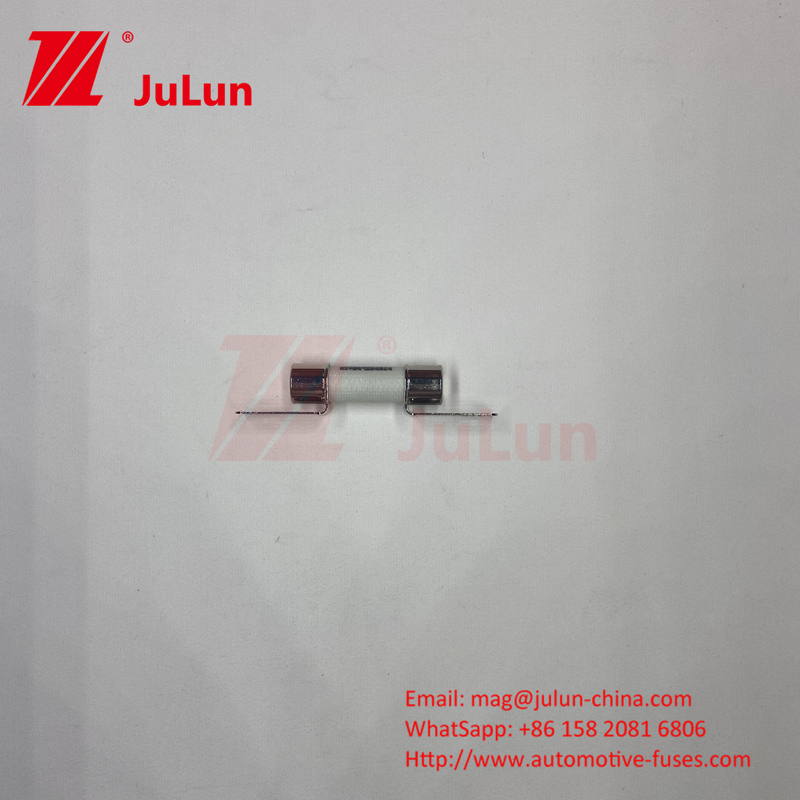 DC750V 10A-100A Boxed EV Fuse voor elektrische voertuigen Traction System Energy Storage 25A 30A 50A EV FUSE