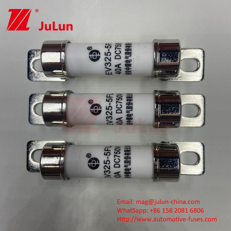 750VDC Energieopslag 10A 25A 30A 50A EV FUS Automotive Ceramic Copper Electric Vehicle Fuse Voor energieopslag DC750V