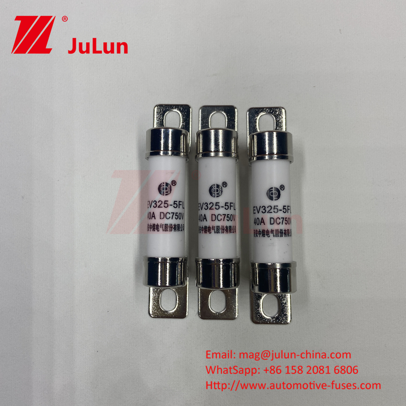 EV Fuse Boxed Embedded voor elektrische voertuig traction systemen 750VDC 25A 30A 40A 50A 14*51 Ues Voor EV325 Car Charger