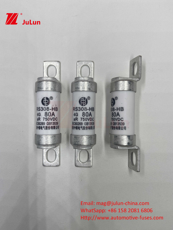EV elektrische voertuig fusie voor DC750V fusie DC750V 10A 15A 20A 25A 30A voor automobieltoepassingen RS308