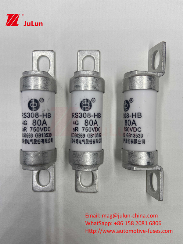 Elektrische voertuigbeschermer RS308 DC750V 10A 15A 20A met uitstekende trillingsbestendigheid 63A