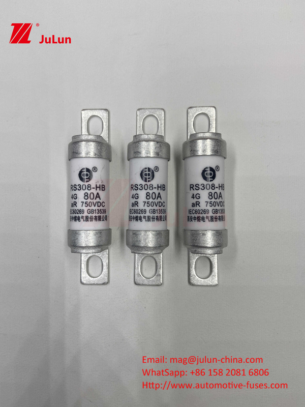 M6 Bolted EV Fuse 750V 80A10A 30A 50A 750VDC EV Fuse
