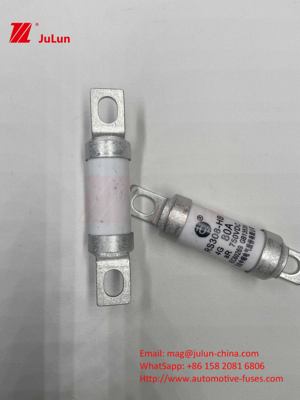 Keramische buis 20x46mm 15A 40A 50A RS308 HB G FUSE 750VDC EV325 100A