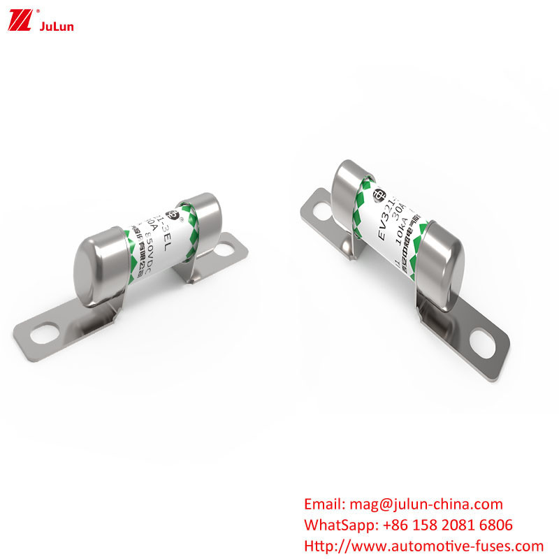 EV321-3EL 30A elektrische voertuigbeschermer met OEM-logobeveiliging en prestaties in de verpakkingsmethode