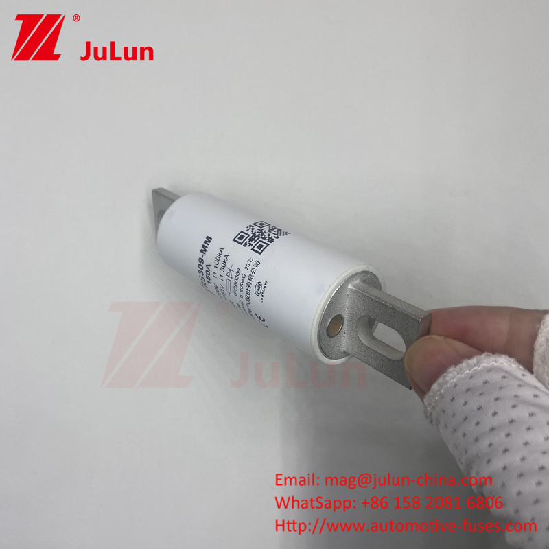 RS309-MM-EV250A 100KA Medium Voltage Elektrisch Voertuig Snel laden / Ev Dc Snelladen
