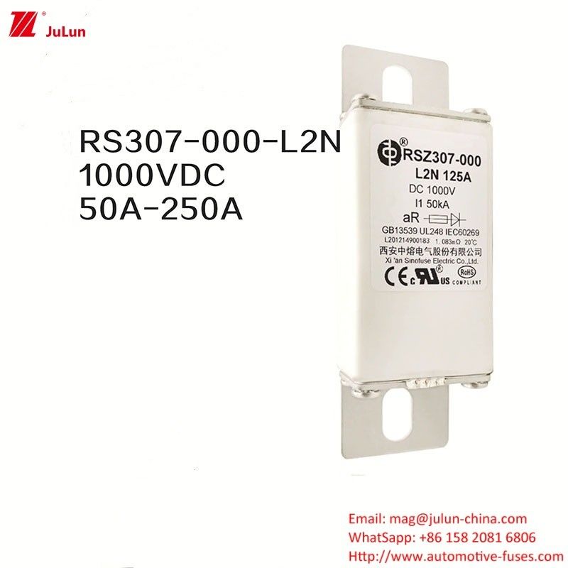 100A Bolt On Ev Dc Fast Charger / Elektrisch Voertuig Fast Charging RSZ307-000-L2N Fuse