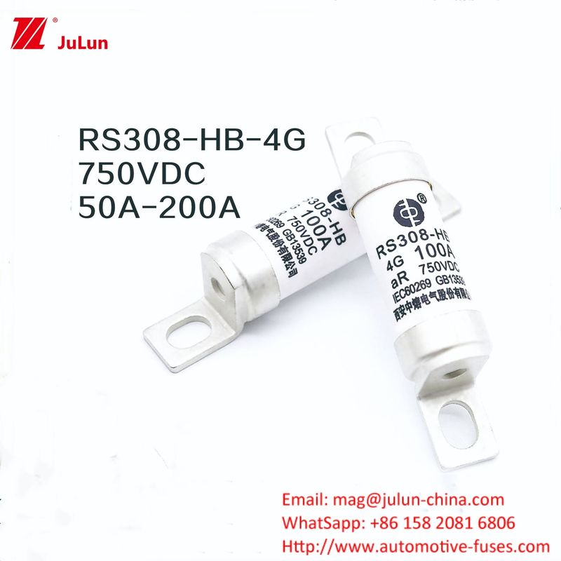 Ev Charger Adapter RS308-HB4G Series 32A 63A 100A Mini Fuses Voor Auto